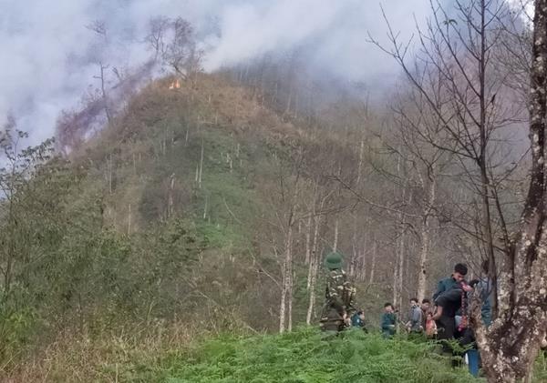 Nỗ lực cứu rừng trên đỉnh Lếch Mông  